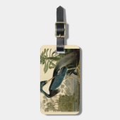 Audubon Louisiana Heron Birds America Art Gepäckanhänger (Vorderseite vertikal)