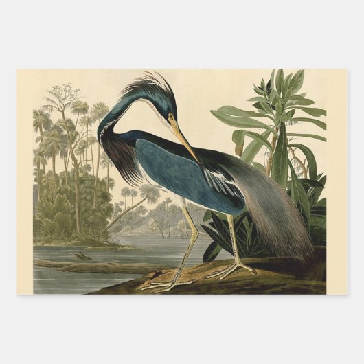 Audubon Louisiana Heron Birds America Art Geschenkpapier Set (Vorderseite)