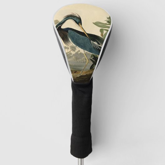 Audubon Louisiana Heron Birds America Art Golf Headcover (Vorderseite)