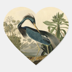 Audubon Louisiana Heron Birds America Art Herz-Aufkleber