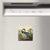 Audubon Louisiana Heron Birds America Art Magnet (In Situ (Geschirrspüler))