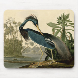 Audubon Louisiana Heron Birds America Art Mousepad
