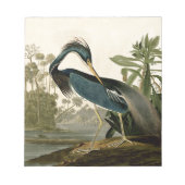 Audubon Louisiana Heron Birds America Art Notizblock (Vorderseite)