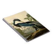 Audubon Louisiana Heron Birds America Art Notizblock (Rechte Seite)
