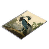 Audubon Louisiana Heron Birds America Art Notizblock (Linke Seite)