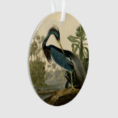 Audubon Louisiana Heron Birds America Art Ornament (Vorderseite)