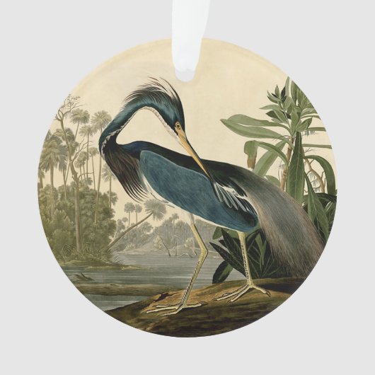 Audubon Louisiana Heron Birds America Art Ornament (Vorderseite)