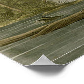 Audubon Louisiana Heron Birds America Art Poster (Ecke)