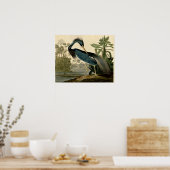 Audubon Louisiana Heron Birds America Art Poster (Küche)
