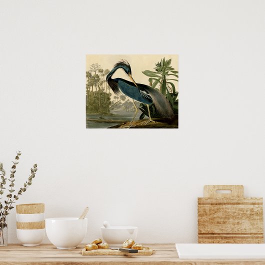 Audubon Louisiana Heron Birds America Art Poster (Küche)
