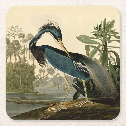 Audubon Louisiana Heron Birds America Art Rechteckiger Pappuntersetzer (Vorderseite)