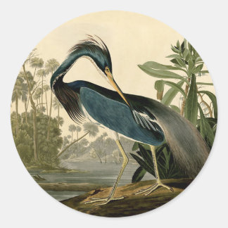 Audubon Louisiana Heron Birds America Art Runder Aufkleber