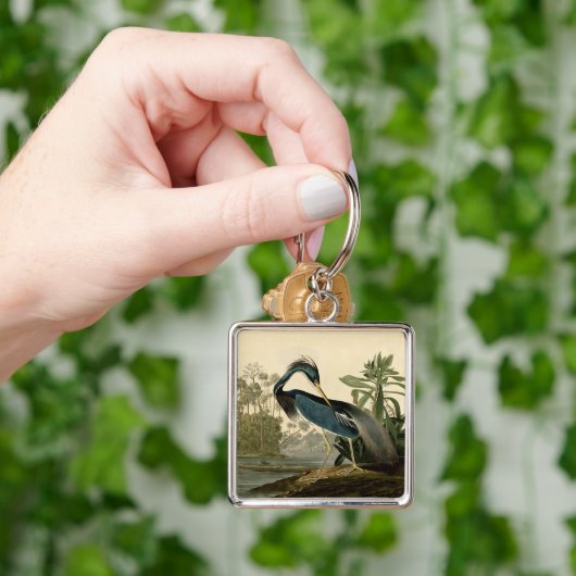 Audubon Louisiana Heron Birds America Art Schlüsselanhänger (Hand)