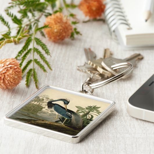 Audubon Louisiana Heron Birds America Art Schlüsselanhänger (Seite)