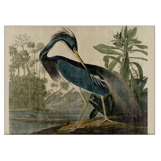 Audubon Louisiana Heron Birds America Art Schneidebrett (Vorderseite)