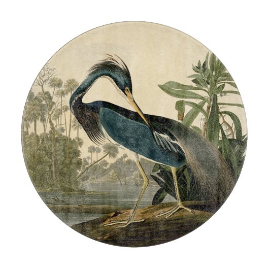 Audubon Louisiana Heron Birds America Art Schneidebrett (Vorderseite)