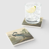 Audubon Louisiana Heron Birds America Art Steinuntersetzer (Seitenansicht)