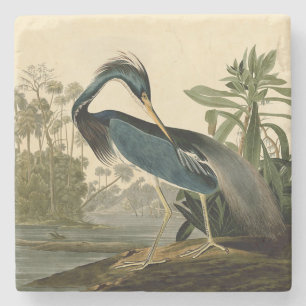 Audubon Louisiana Heron Birds America Art Steinuntersetzer