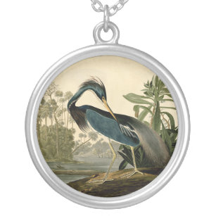 Audubon Louisiana Heron Birds America Art Versilberte Kette
