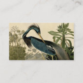 Audubon Louisiana Heron Birds America Art Visitenkarte (Rückseite)