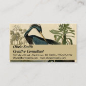 Audubon Louisiana Heron Birds America Art Visitenkarte (Vorderseite)