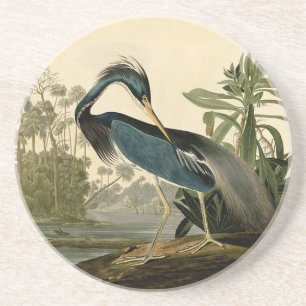 Audubon Louisiana Heron Getränkeuntersetzer