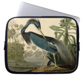 Audubon Louisiana Heron Laptopschutzhülle (Vorderseite)
