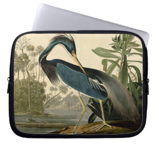 Audubon Louisiana Heron Laptopschutzhülle