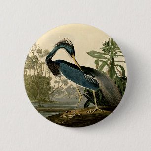 Audubon Louisiana Reiher Birds America Kunst Button