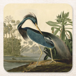 Audubon Louisiana Reiher Birds America Kunst Rechteckiger Pappuntersetzer