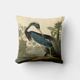 Audubon Louisiana Reiher Vögel Amerika Kunst Kissen