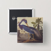 Audubon Lousiana Heron on Coastal Marsh Land Button (Vorne & Hinten)