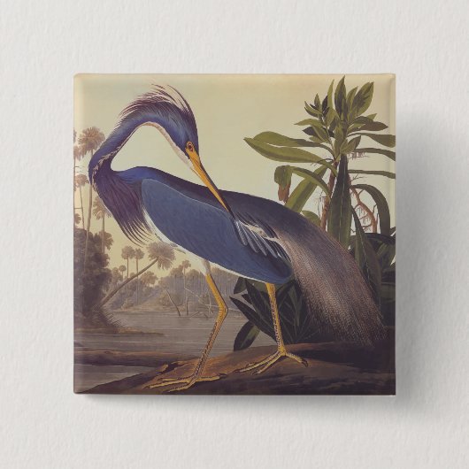 Audubon Lousiana Heron on Coastal Marsh Land Button (Vorderseite)