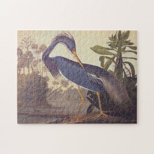 Audubon Lousiana Heron on Coastal Marsh Land Puzzle (Horizontal)