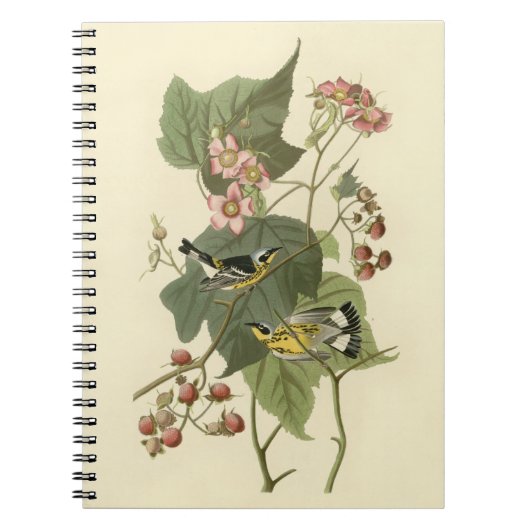 Audubon Magnolia Warbler Notizblock (Vorderseite)