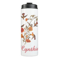 Audubon Mango Hummingbird in Gem Colors