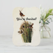 Audubon Marsh Wren Bird Art Einladung (Stehend Vorderseite)