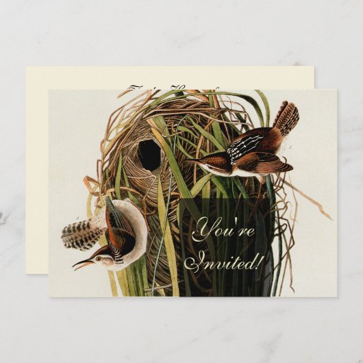 Audubon Marsh Wren Bird Art Einladung (Vorne/Hinten)