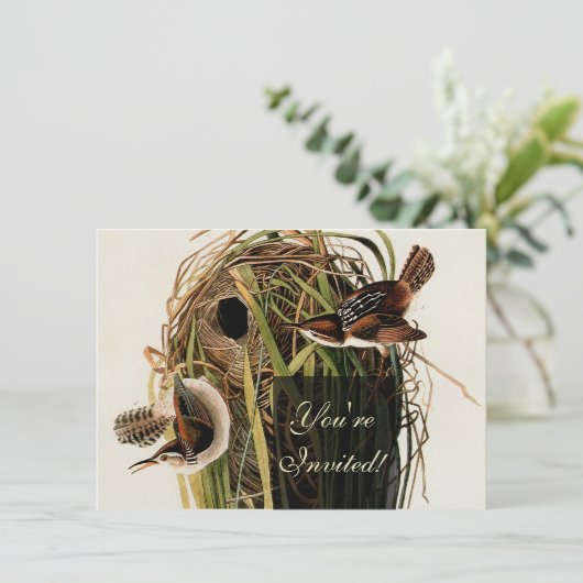 Audubon Marsh Wren Bird Art Einladung (Stehend Vorderseite)