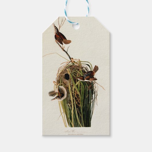 Audubon Marsh Wren Bird Art Geschenkanhänger (Vorderseite)