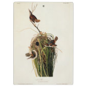 Audubon Marsh Wren Bird Art Klemmbrett (Rückseite)