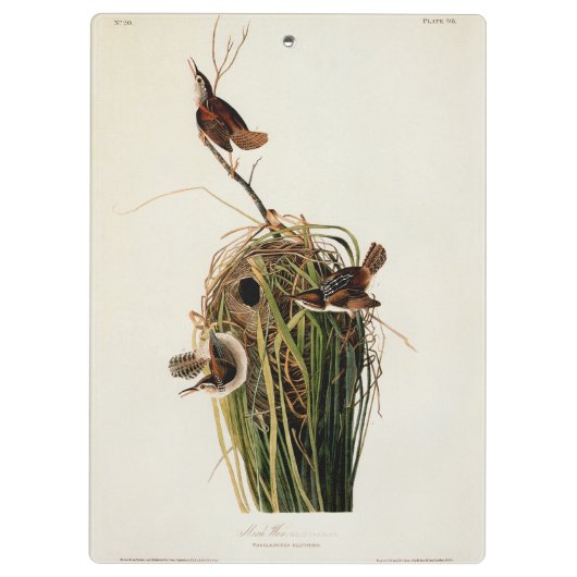 Audubon Marsh Wren Bird Art Klemmbrett (Rückseite)