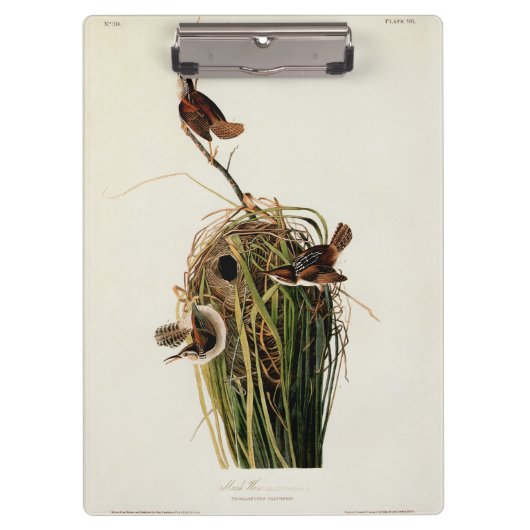 Audubon Marsh Wren Bird Art Klemmbrett (Vorderseite)