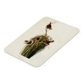 Audubon Marsh Wren Bird Art Magnet (Linke Seite)