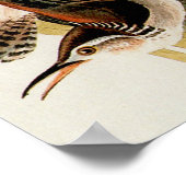 Audubon Marsh Wren Bird Art Poster (Ecke)