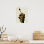 Audubon Marsh Wren Bird Art Poster (Küche)