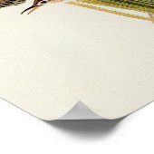 Audubon Marsh Wren Bird Art Poster (Ecke)