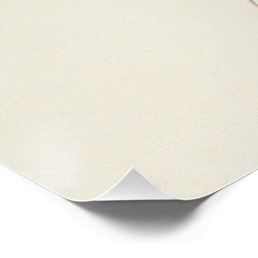 Audubon Marsh Wren Bird Art Poster (Ecke)