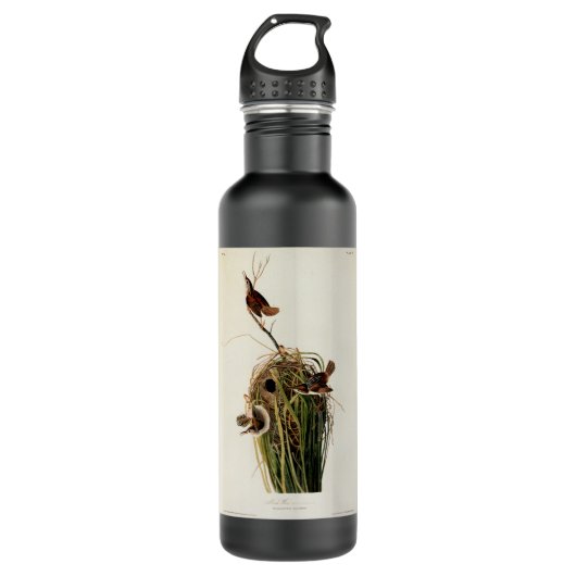 Audubon Marsh Wren Bird Art Trinkflasche (Vorderseite)