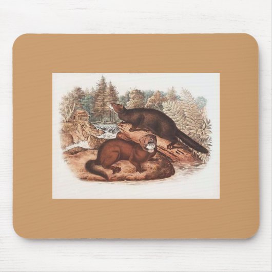 Audubon - Mink Mousepad (Vorne)